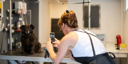 From PetSmart to Your Doorstep: How Texas Dog Owners Are Choosing Mobile Groomers?